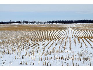 Property photo 1 - AUCTION, 206 Contiguous Acres offered in 5 Tracts
